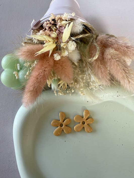 Charms Assia