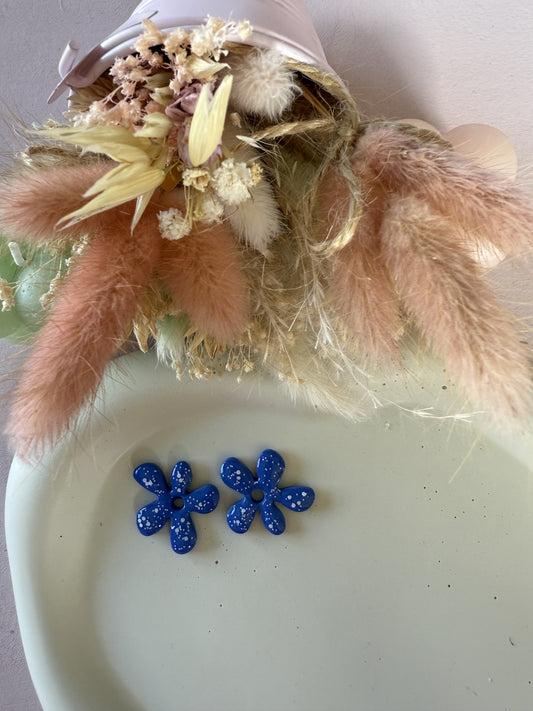 Charms Assia